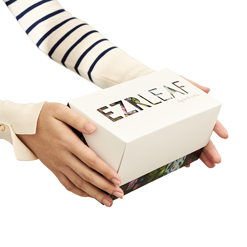 Gifts Box